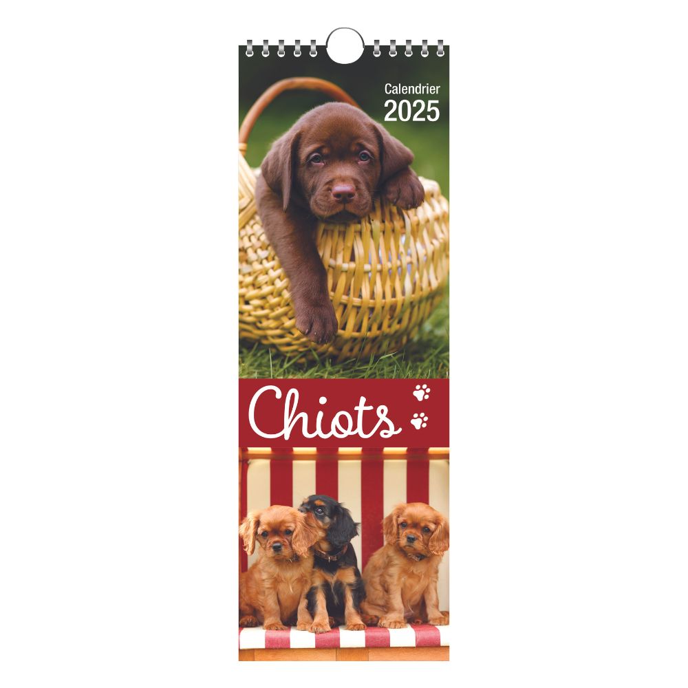 Puppies Calendrier mural 2026 avec stickers de rangement Motif chiots 16 mois