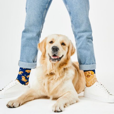 Chaussettes hautes motifs chien