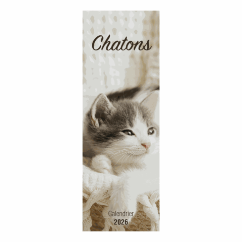 Calendrier chatons - 2026